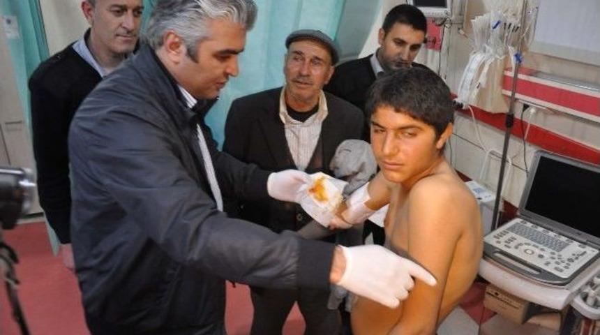 K&ouml;peğin Saldırısına Uğrayan Engelli &Ccedil;ocuk Yaralandı