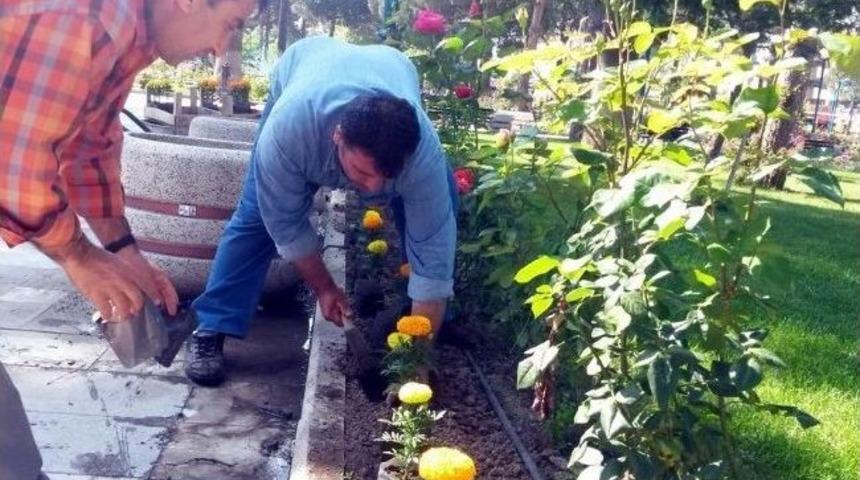 Edremit&rsquo;te Faruk Serpil Parkı&rsquo;na Bahar Bakımı