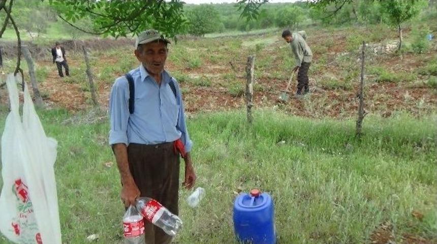 K&ouml;ylerde Bağ Budama Telaşı Başladı