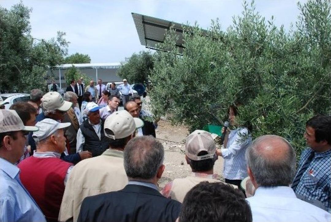 Didim&rsquo;de &Ccedil;ift&ccedil;iler Tarla Okulunda Eğitim Aldı