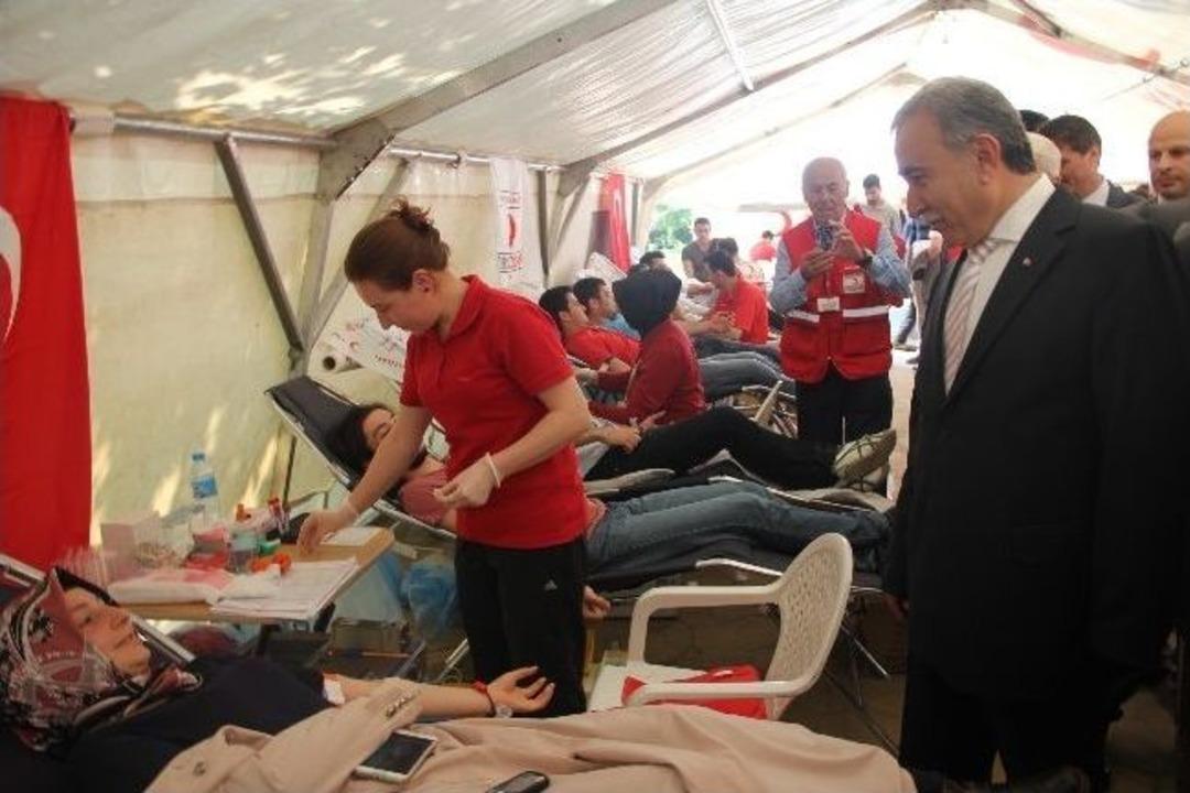 Tuğba Erdoğan'ın Anısına Kan Topladılar