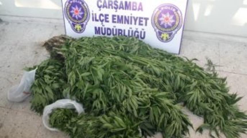 690 K&ouml;k Hint Keneviri Ele Ge&ccedil;irildi