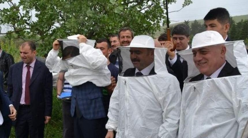 Siirt&rsquo;teki Arıcılara 1 Milyon Liralık Proje