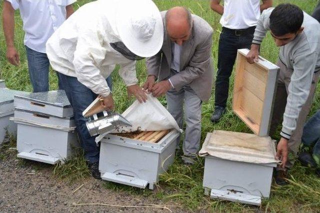 Siirt&rsquo;teki Arıcılara 1 Milyon Liralık Proje 1