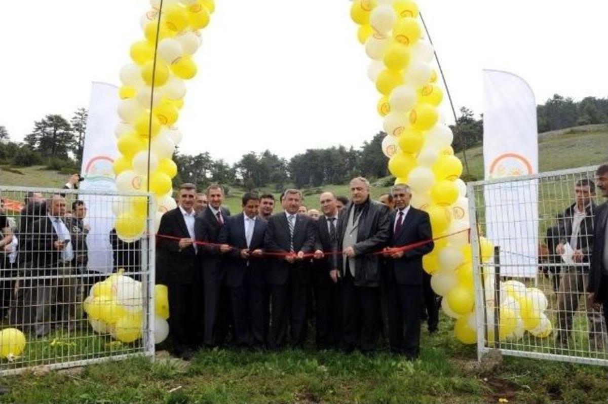 K&uuml;tahya Domani&ccedil;'te Mera Islah &Ccedil;alışması