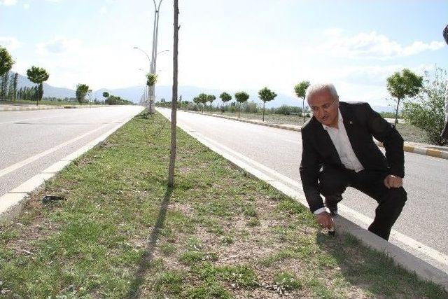 Başkan Başsoy Yapılan &Ccedil;alışmaları İnceliyor 1