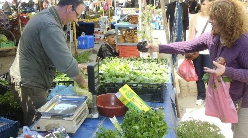 Hayraboluda Fide Satışları Başladı