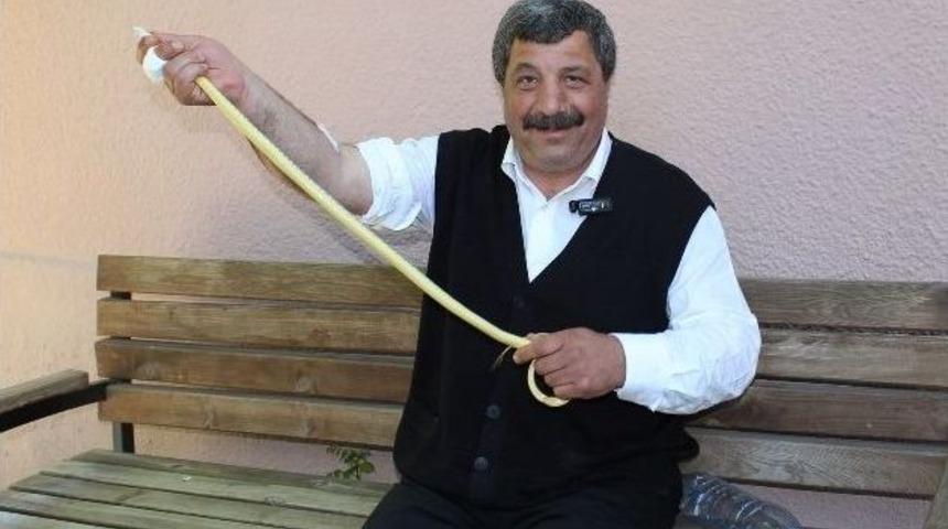 Elini Sokan Yılanı Alıp Hastaneye Koştu