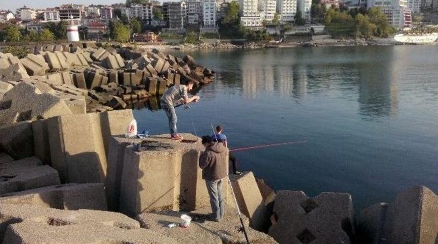 Olta Avcıları İş Başında