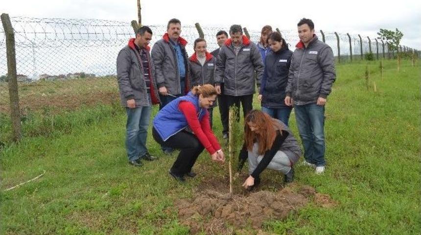 T&uuml;rkiye&rsquo;nin İlk Otomasyonlu Deposu Kapaklı&rsquo;da Kuruldu