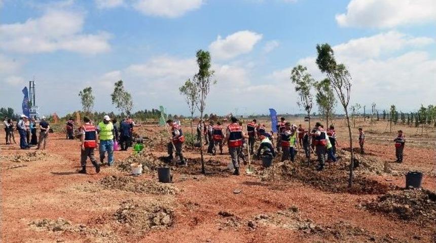 Soma Şehitleri Anısına Expo Alanına Ağa&ccedil; Dikildi