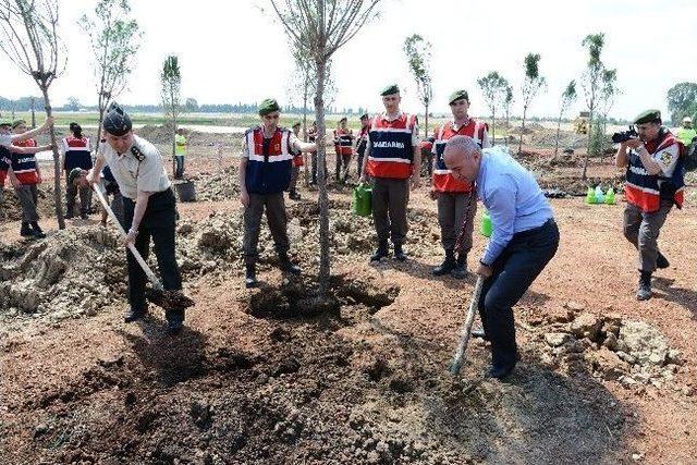 Soma Şehitleri Anısına Expo Alanına Ağaç Dikildi