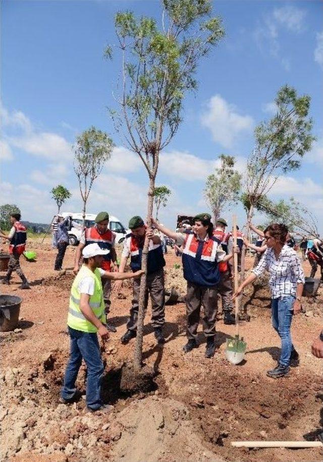 Soma Şehitleri Anısına Expo Alanına Ağaç Dikildi