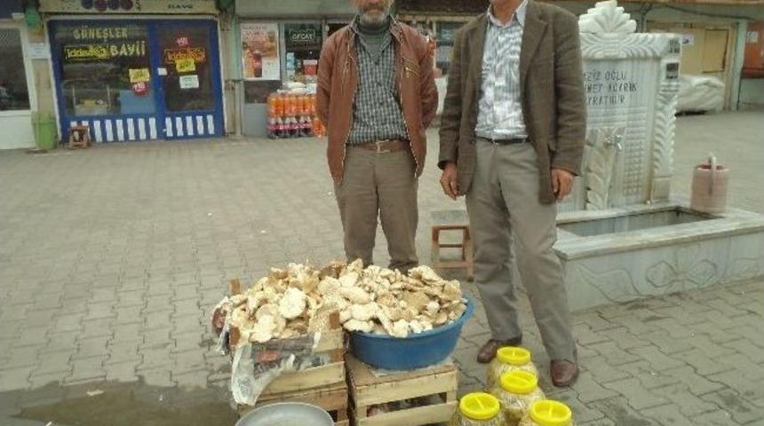 Varto&rsquo;da Mantar Fiyatları El Yakıyor
