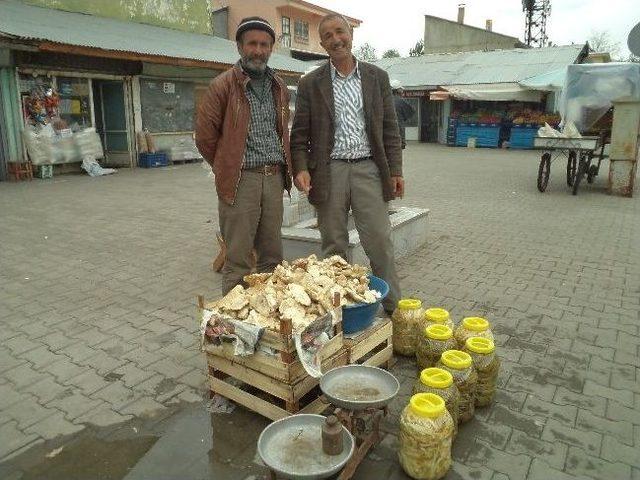 Varto’da Mantar Fiyatları El Yakıyor