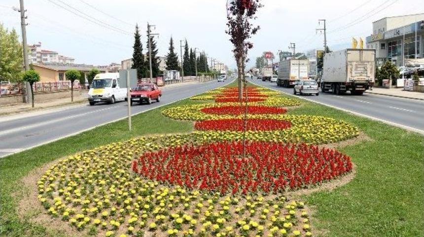 Ordu&rsquo;da Ref&uuml;jler Otomatik Sulanacak