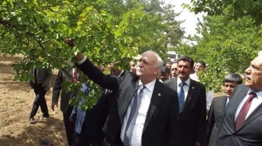 Zirai Dondan Zarar G&ouml;ren Bah&ccedil;ede İnceleme Yapıldı