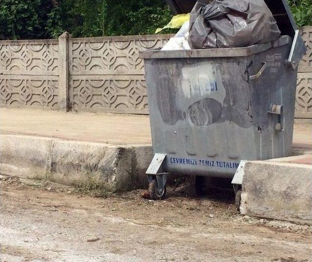 Çöp Konteynerinin Altında El Bombası Bulundu 2