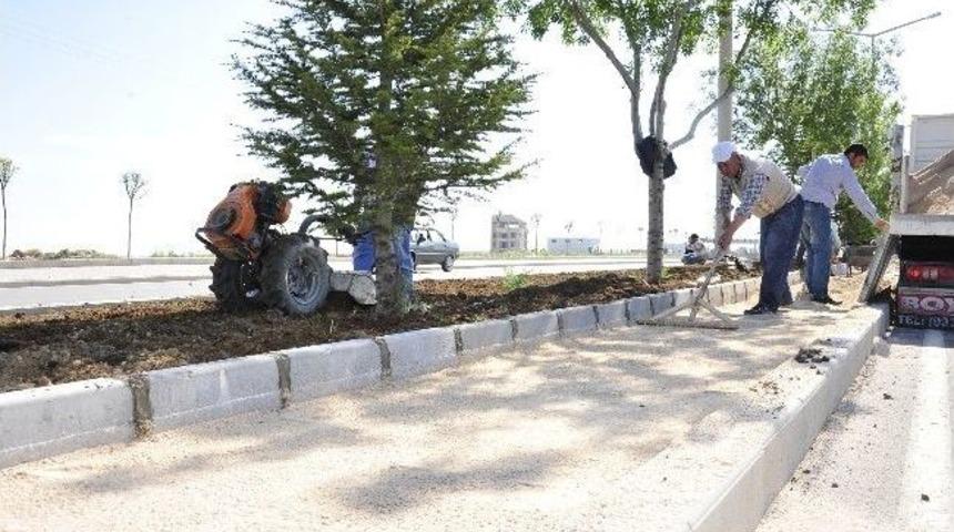 Karaman&rsquo;da Yeşillendirme &Ccedil;alışmaları