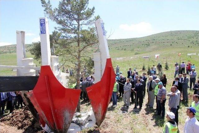 Yozgat Spor Vadisine 93 Bin Fidan Dikildi 2