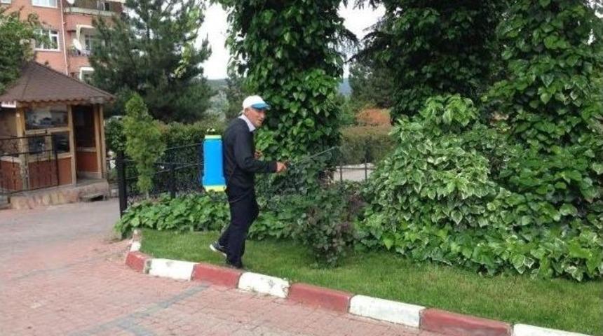 Bilecik Belediyesi'nden Yeşil Alanlarda İla&ccedil;lama &Ccedil;alışması