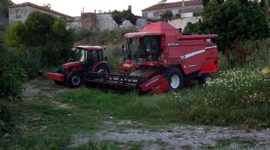 Aydın&rsquo;da Nisan Yağışları Buğday Hasadını Geciktirdi