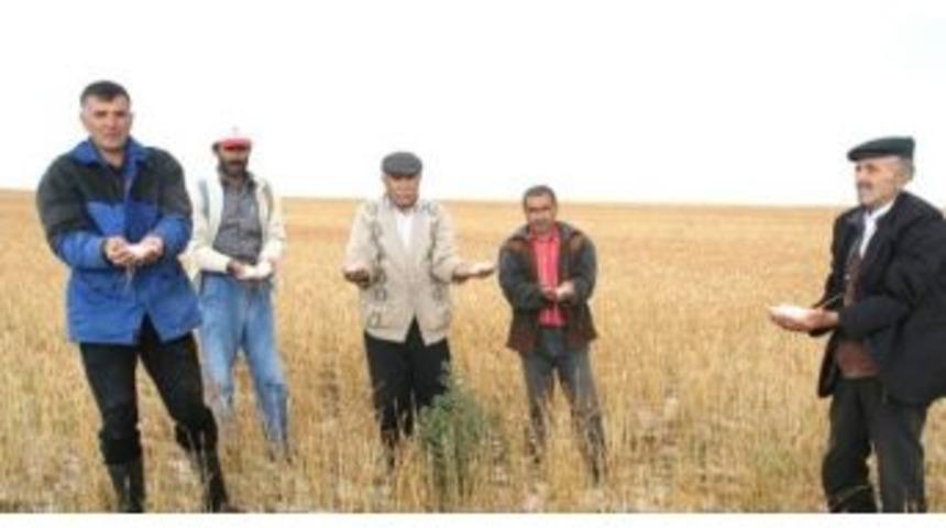 Afete Maruz Kalan &Ccedil;ift&ccedil;ilerin Tarımsal Kredi Bor&ccedil;ları Erteleniyor