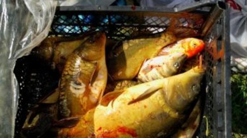 Kars&rsquo;ta Balık Avı Yasağı Başladı