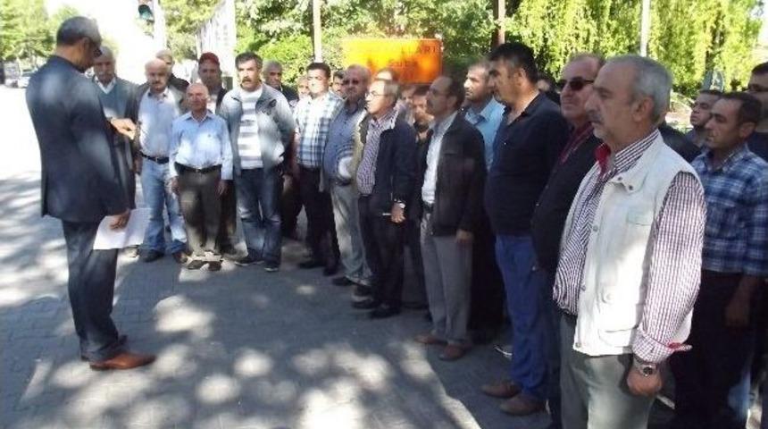 Soma Faciası