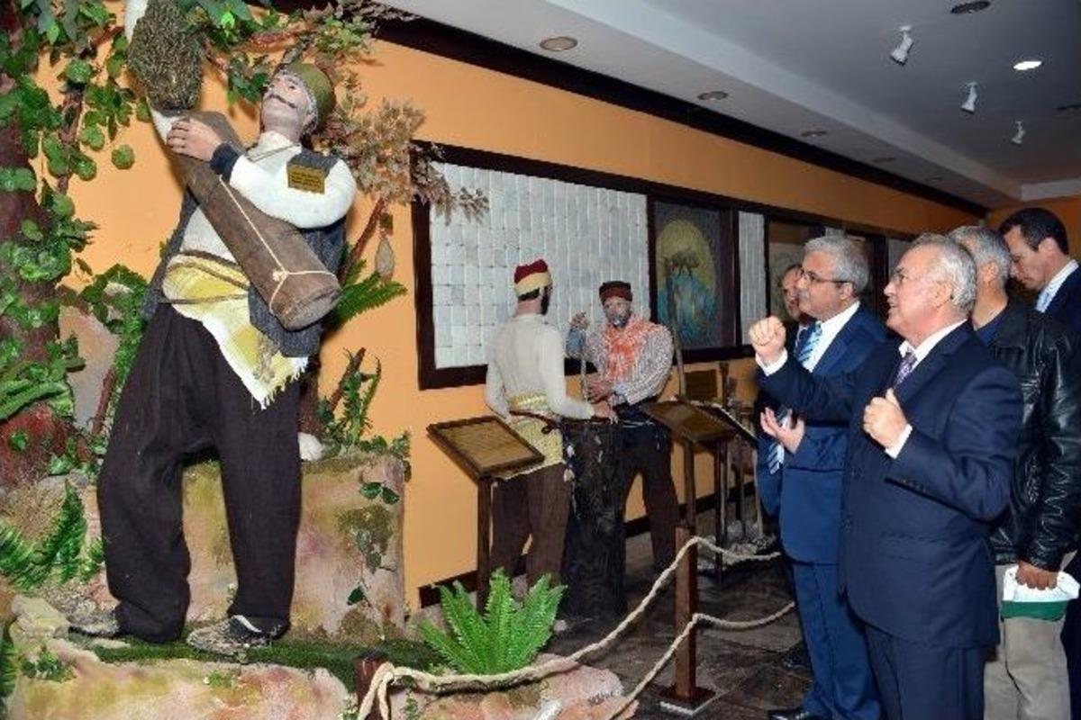 Basralı &Ccedil;amların Ekonomik &Ouml;mr&uuml; Uzadı