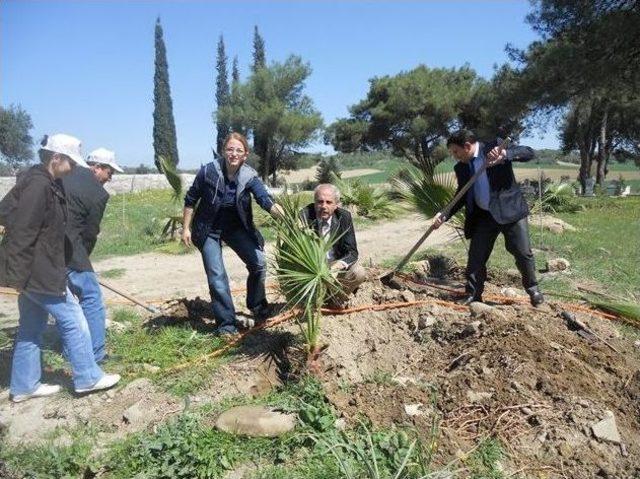 Mezarlıklara Fidan Takviyesi