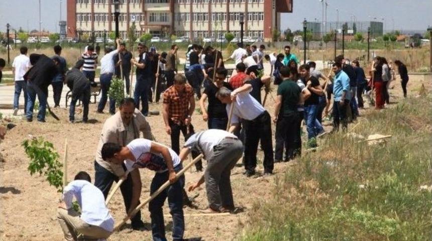 As&uuml; &Ouml;ğrencileri Soma Şehitleri İ&ccedil;in Dua Edip Fidan Dikti