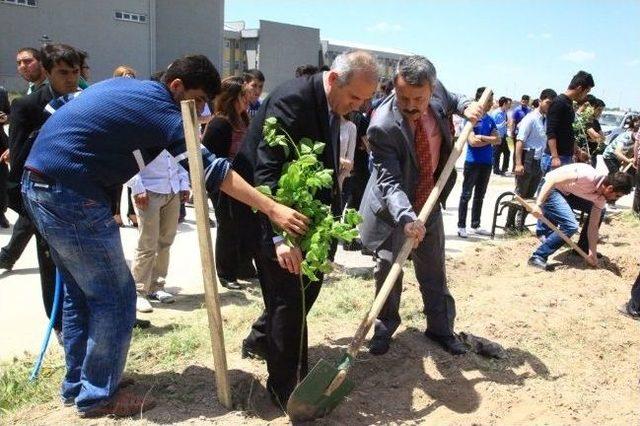 Asü Öğrencileri Soma Şehitleri İçin Dua Edip Fidan Dikti