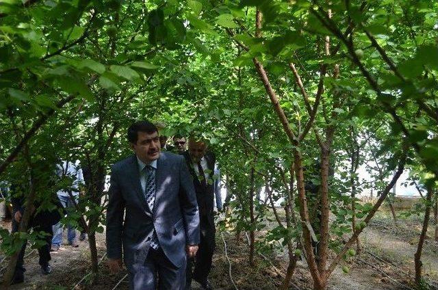 Vali Şahin Myo&rsquo;da &Ouml;ğrencilere Ders Verdi 2