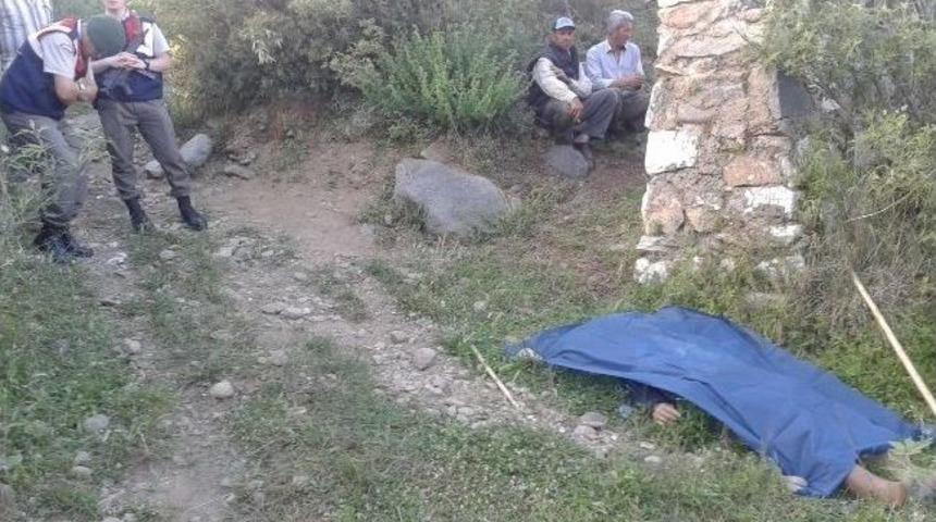 Ecel Koyun Otlatırken Yakaladı