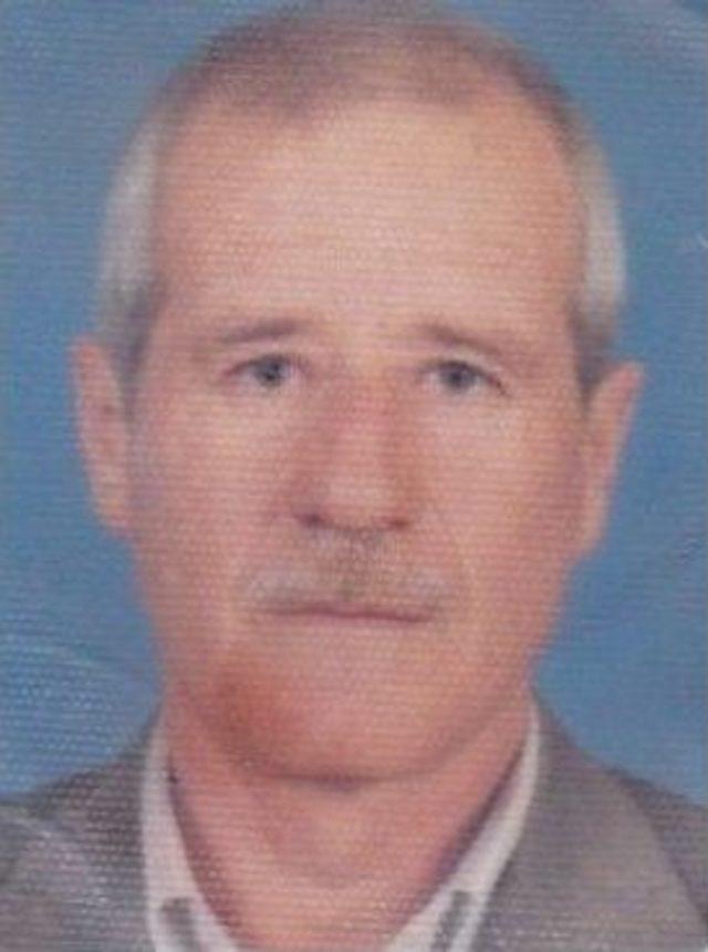 Ecel Koyun Otlatırken Yakaladı 1