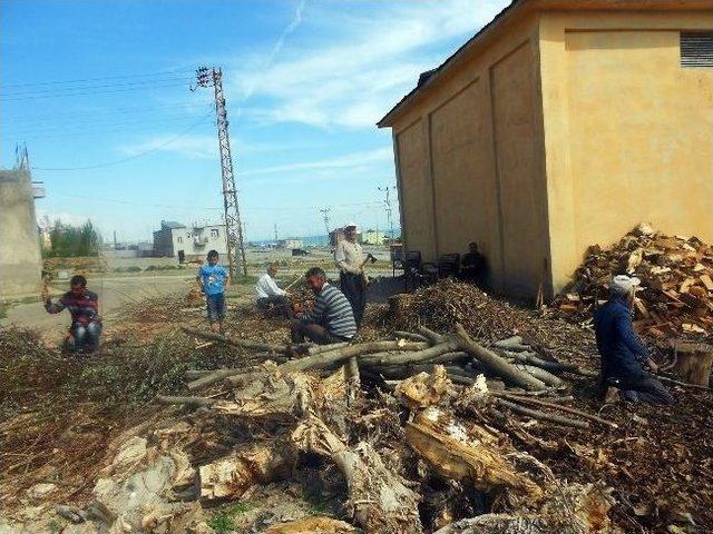 Mahalleliden Dayanışma Örneği