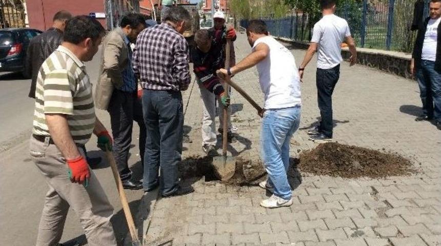 Kars Belediyesi'nde Kenti Ağa&ccedil;landırıyor