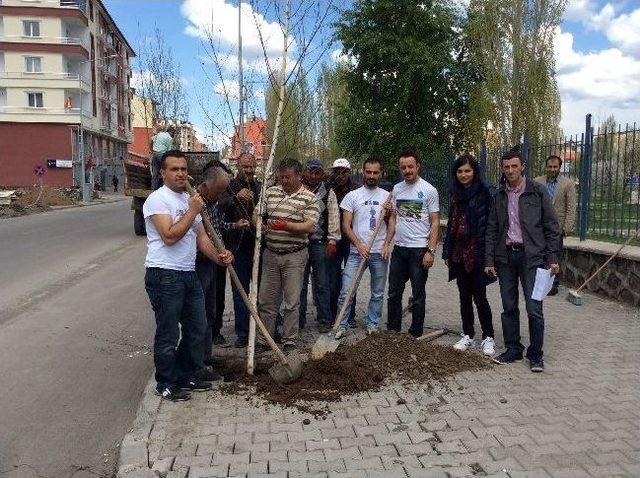 Kars Belediyesi'nde Kenti Ağaçlandırıyor