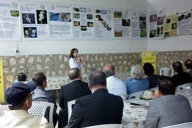 Didim’de 'zeytin Çiftçi Tarla Okulu Projesi Eğitim Toplantısı' Yapıldı