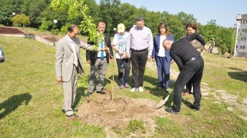 Om&uuml;&rsquo;de Vefat Eden &Ouml;ğretmenlerin Anısına Fidan Dikildi