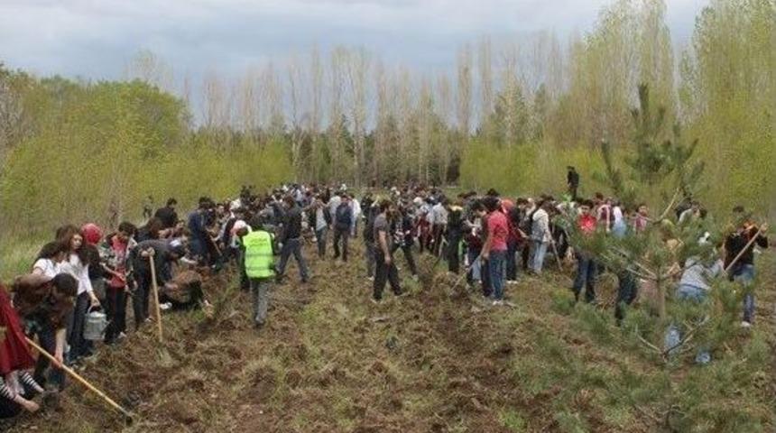 Atat&uuml;rk &Uuml;niversitesinde Fidan Dikimi