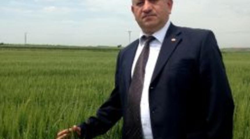 Yağışlı Havalar Ay&ccedil;i&ccedil;eği Ekimini Geciktiriyor