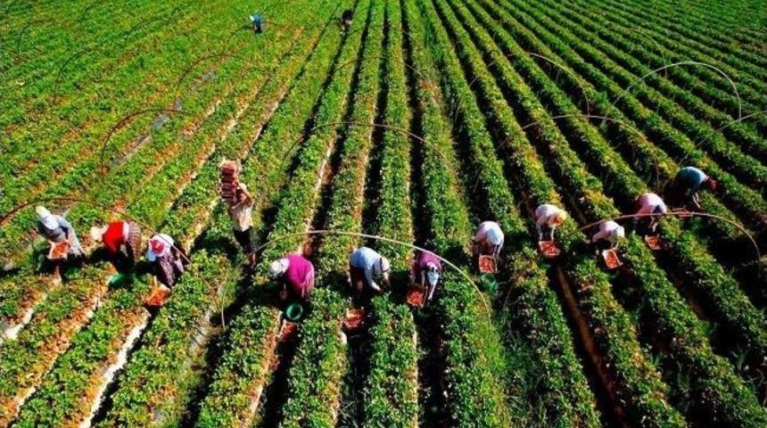 &ldquo;bu Toprağın Renkleri&rdquo; Yarışmasından İha&rsquo;ya İki &Ouml;d&uuml;l