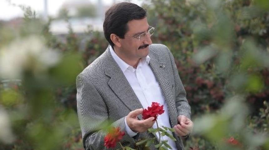 Ke&ccedil;i&ouml;ren G&ouml;kkuşağı Renklerine Bezendi