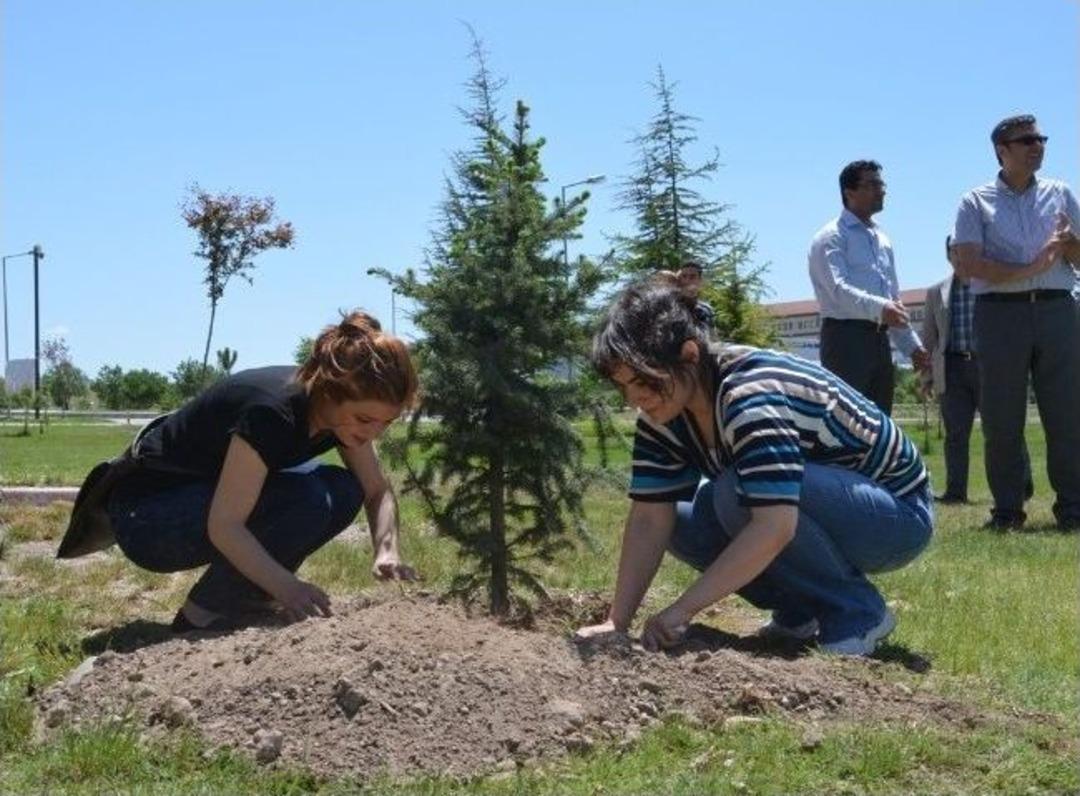 Kara G&uuml;ne Yeşil Destek