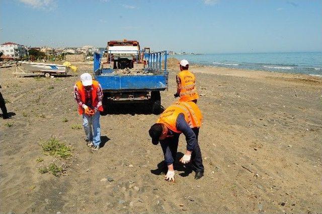 Atakum’da Sahil Temizliği Başladı