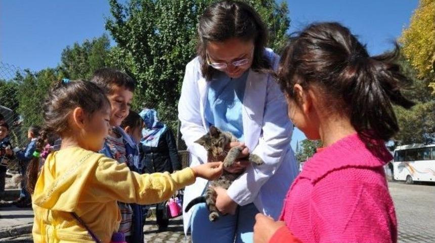 Sokak Hayvanları Yeni Yuvalarına Kavuşuyor