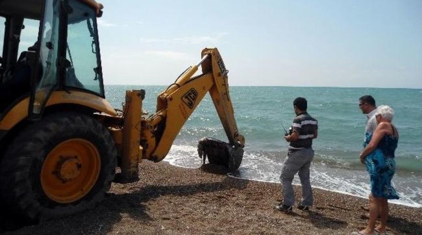 Caretta Caretta &Ouml;l&uuml;s&uuml; Kundu Sahiline Vurdu
