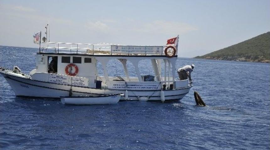 64 Yaşında Deniz Dibinde Temizlik Yaptı